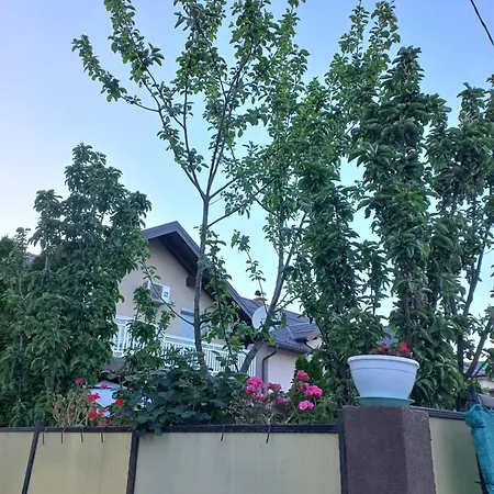Kasinda *